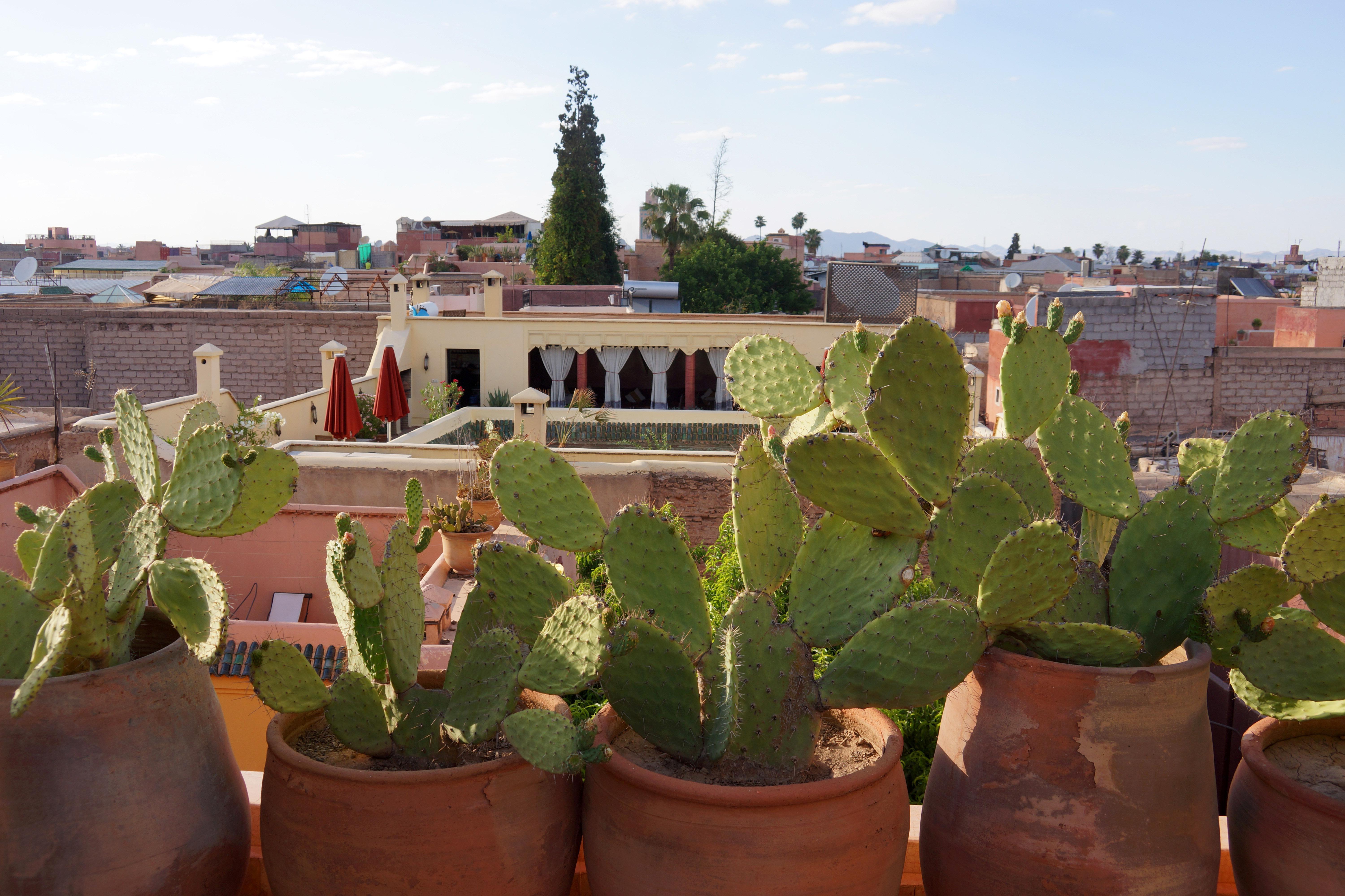 Riad Marrakiss Marrakesch Exterior foto